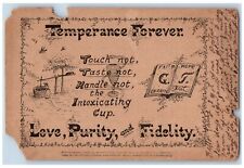 Ellendale Minnesota MN Postcard Temperance Forever Love Purity And Fidelity picture