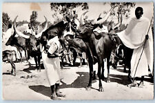 Belgian Congo Postcard Scene of Pastoral Life c1940's Vintage RPPC Photo picture