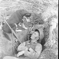WW2 WWII Photo World War Two / US Marine & War Dog Guam 1944 USMC picture