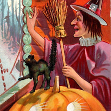 c1909 Halloween Precautions Postcard Purple Witch JOL Black Cat Cross Nash Ser 2 picture