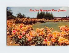 Postcard San Jose Municipal Gardens San Jose California USA picture