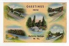 Postcard Greetings from Berkeley Springs West Virginia Multi-View picture
