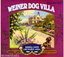 Marshall Canyon Weiner Dachshund Dog Orange Citrus Fruit Crate Label Art Print picture