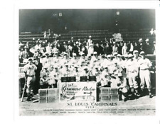 1934 Saint Louis Cardinals Team photo  bxphoto 8 x 10  picture