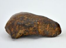 7.6 gram NWA 859 TAZA meteorite - Ungrouped Iron Meteorite I TOP METEORITE picture