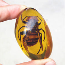 Beautiful Amber Hornet Fossil Insects Manual Polishing picture