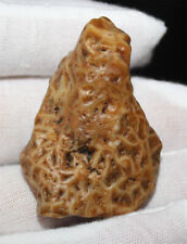 27.3g Rare Mongolia Gobi Gangue Vein stone Agate Rough Minerals Specimen 81187 picture