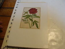 Vintage Flower Post Card mounted on board: Paeonia foemina maltipl picture