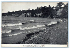 1907 View of Sea Waves Seneca Lake Geneva New York NY Antique Postcard picture