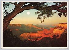 Grand Canyon National Park Arizona, Evening Sun, Panorama, Vintage Postcard picture