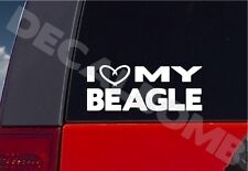 i heart my BEAGLE decal / sticker dog puppy hunt love picture