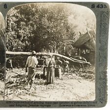 Sugar Cane Grinding Mill Stereoview c1900 Kingston Jamaica Farm Horse Home A2123 picture