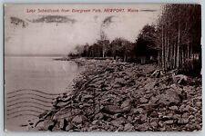 Newport, Maine ME - Lake Sebasticook from Evergreen Park - Vintage Postcard picture
