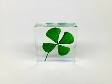 Four Leaf Clover in Lucite, Resin picture