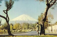 Peru Selva Alegre Park With Misti Vintage Postcard B65 picture