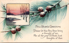 Vintage 1920 A new Year's Greeting Poem Postcard Pinecone Branches Bellwood PA picture