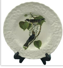 VINTAGE Plate MEAKIN Kingbird AUDUBON BIRD'S OF AMERICA Fun picture