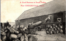 A Good Business in Small Pickles Near Cridersville Ohio Humor Post Card PC402 picture