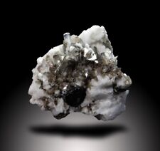 Aquamarine Crystal W/Mica And Feldspar 587 CT Mineral Spcimen From Skardu Pak picture