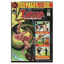 Tarzan #232  - 1972 series DC comics Fine Full description below [m] picture