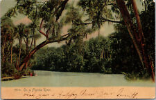 Vtg 1906 On A Florida River FL Old Antique Undivided Back Postcard picture
