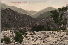 Vintage 1910s ONTARIO California Hand-Colored Postcard 