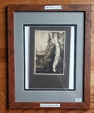 Native American Indian Chief John Grass,  By D.F. Barry , RARE   picture