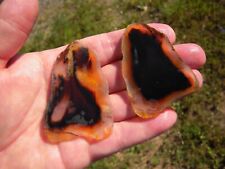 Montana Agate Slabs, 37 grams, Set of 2, Lapidary/Cabbing picture