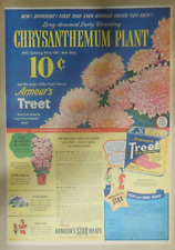 Armour's Treet Ad:  10 Cent Chrysanthemum Plant  1941 Size: 11 x 15 inches picture