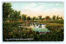 Postcard MI Jackson Frog Pond Michigan Center Scenic View Unposted DB c1910's picture