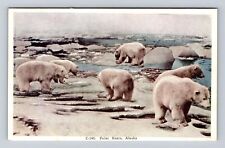 AK-Alaska, Polar Bears, Antique, Vintage Souvenir Postcard picture