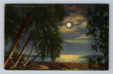 Miami Beach FL-Florida, Moon at the Beach, c1954, Vintage Postcard picture