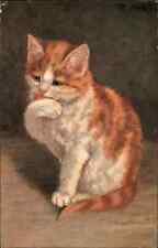 M. Stock Pretty Little Orange and White Kitty Cat Licking Paw c1910 Postcard picture