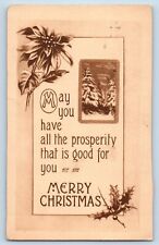 Crookston MN Postcard Christmas Message Poinsettia Flowers Winter Scene c1910's picture
