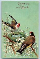 Cameron Wisconsin WI Postcard Easter Birds Egg Nest Flowers Embossed 1909 Posted picture