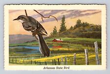 AR-Arkansas, Arkansas State Bird, Mocking Bird, Antique Vintage Postcard picture