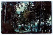 c1960's In The Adirondack Mountains, The East Shore of Schroon Lake NY Postcard picture