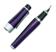 Duke 2009 Memory Charlie Chaplin Fountain Pen Bent Nib , Purple Heavy Big Pen picture