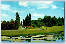 Bogor Indonesia Postcard Incline Walkway and Grass Botanical Garden c1960's picture