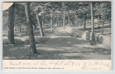 Postcard Vintage Road Leading to Club House of Edgewood Park in Shamokin, PA. picture