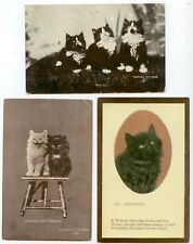 c1910 kitty cat pc group picture