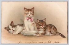 1903 Kitty Cats Postcard French Kitten Kitty Litho Undivided Posted Paris France picture