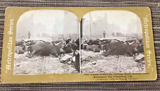 Antique Vtg Stereoview Stereoscope Card GREAT HOLOCAUST SAN FRANCISCO 1906 picture