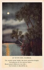 Daytona Florida Moonlight River Night Palms Tropical Paradise Vtg Postcard B16 picture