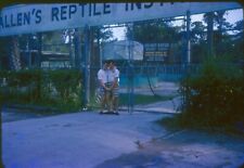 vintage 35mm slides boys hug outside Ross Allen's reptile institute 1965 Florida picture