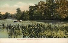 NEW JERSEY BRIDGETON CITY PARK LOVERS IN BOAT IN THE LILIES  PRE 1907 Postcard picture