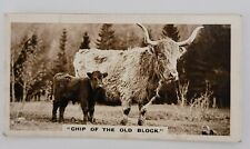 De Reszke Real Photographs card No. 3 Chip of the Old Block - Highland Cow picture