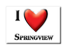 Springview, Keya Paha County, Nebraska - Fridge Magnet Souvenir picture