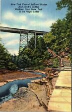 New York Central Railroad Bridge & Jacobs Ladder Watkins Glen  Vintage Postcard picture