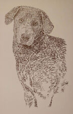 CHESAPEAKE BAY RETRIEVER DOG ART PRINT #28 Kline adds dogs name free.  CHESSIE picture